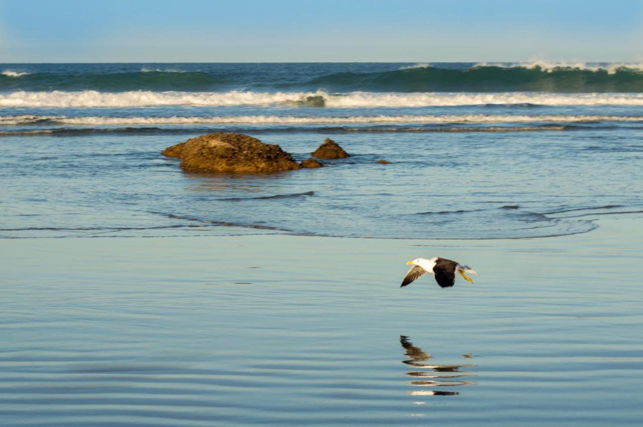 Hostel Dunas Do Santinho Florianópolis 외부 사진