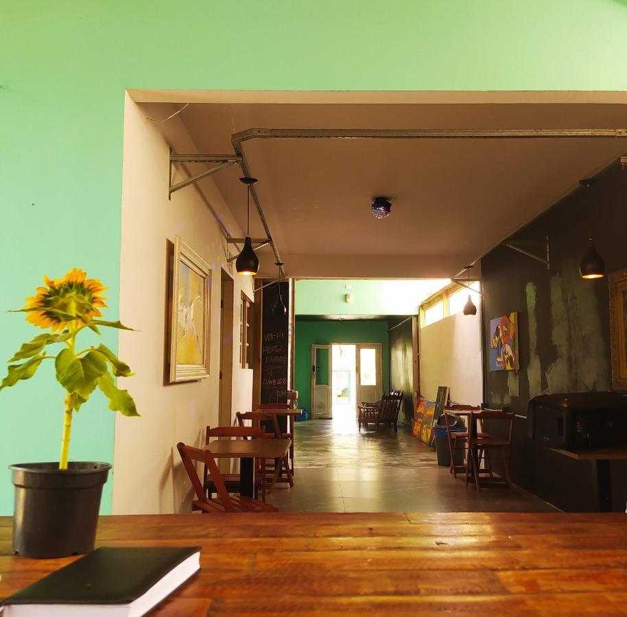 Hostel Dunas Do Santinho Florianópolis 외부 사진